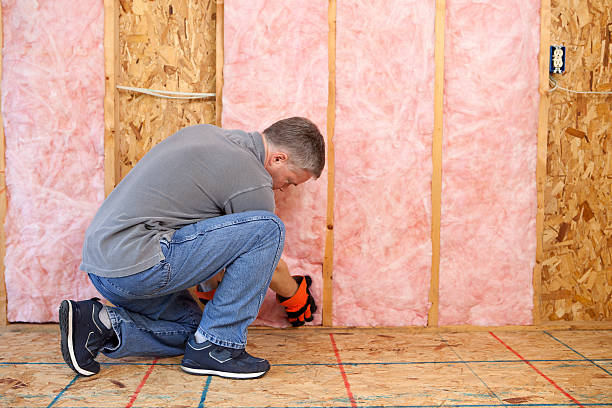 Best Insulation Air Sealing  in Cheree, OK